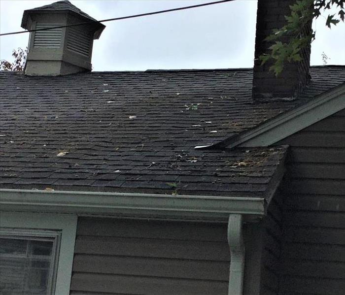 Roof Leak in Rochester NY
